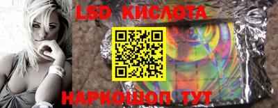 бошки Камышлов